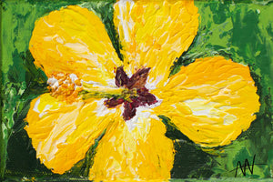 Hibiscuis