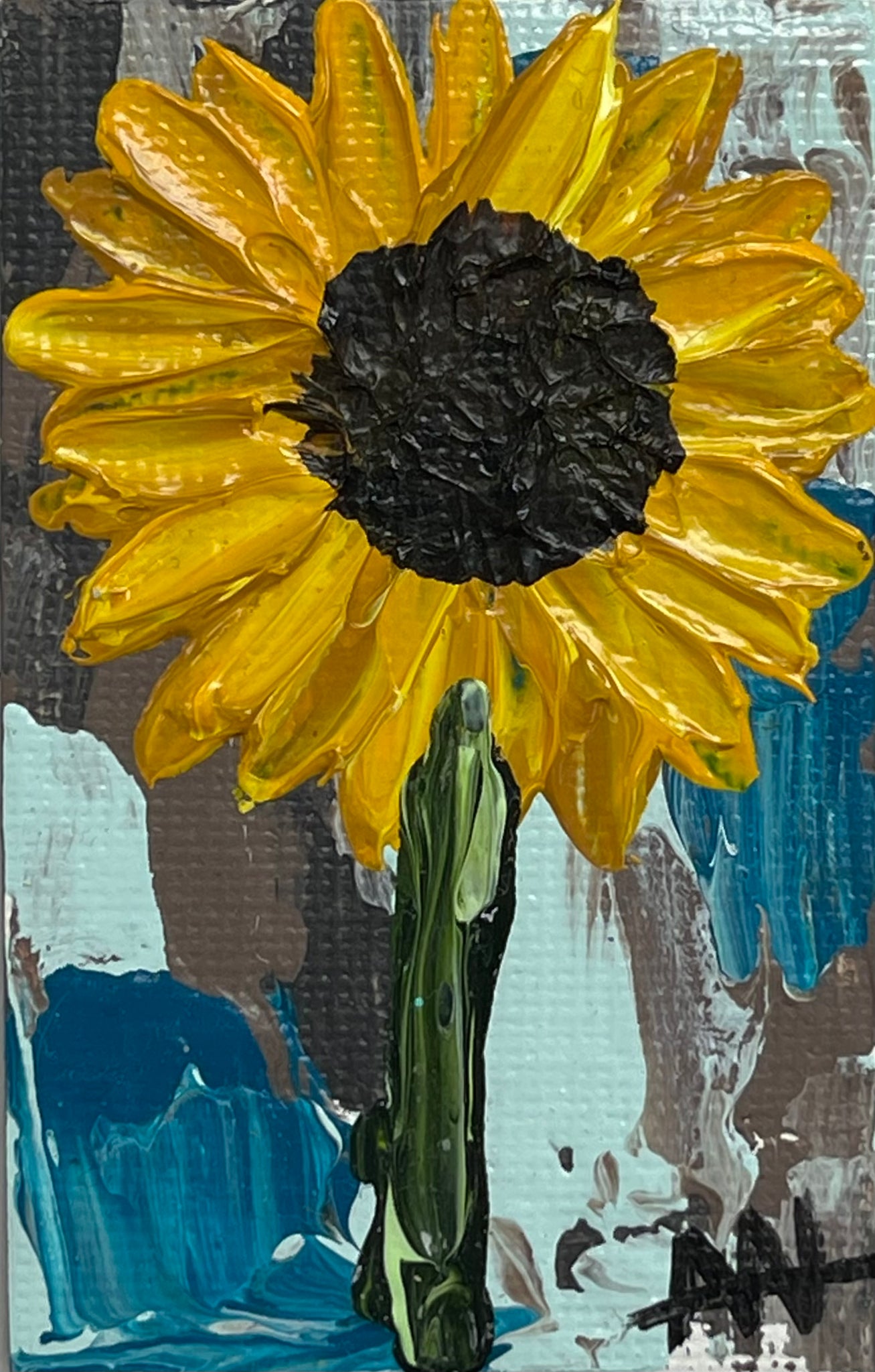 Sunflower